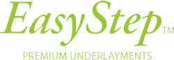 EasyStep Logo